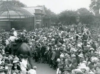 Crowds of Visitors Watch an Elephant Ride at London Zoo, August Bank Holiday, 1922
